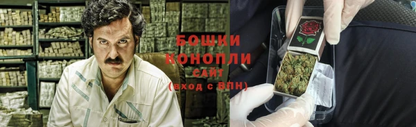 соль ск Алексин