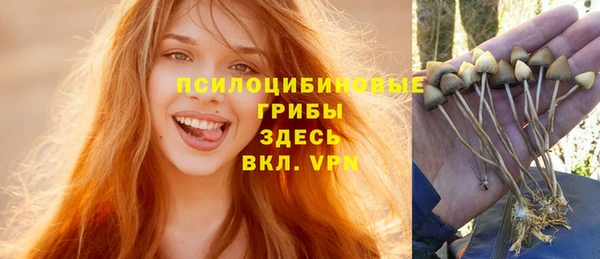 mdpv Алзамай