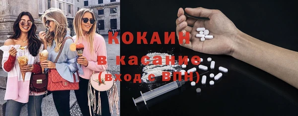 соль ск Алексин