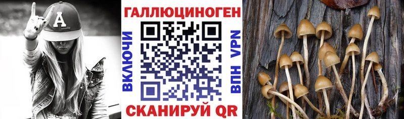 купить наркотик  Ковылкино  Галлюциногенные грибы Psilocybine cubensis 